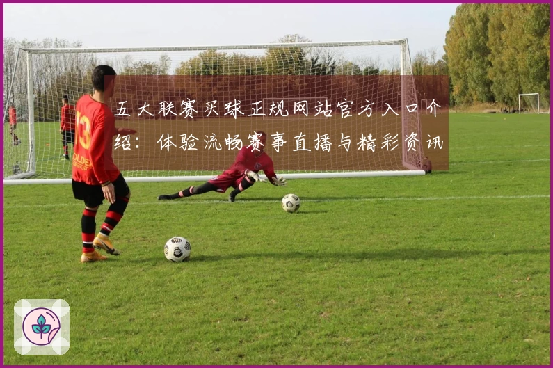 五大联赛买球正规网站官方入口介绍：体验流畅赛事直播与精彩资讯